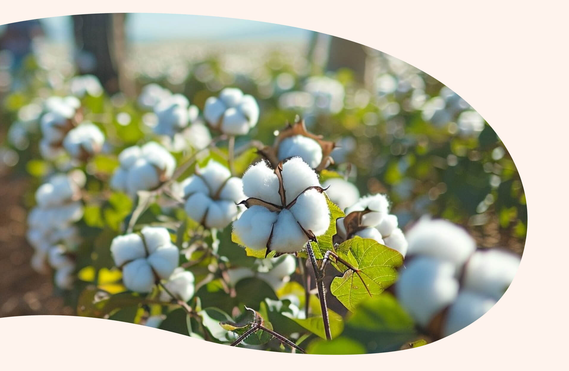 Produtos de Higiene Helpmate Mat&eacute;rias-Primas Naturais